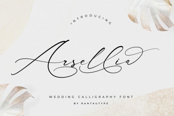 Choosing Arsellia: A Web Designer’s Take on Using Script Fonts for Digital Branding